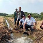 Upaya Dinas Pengelolaan Sumber Daya Air (DPSDAPR) Mengatasi Kekeringan di Kabupaten Brebes