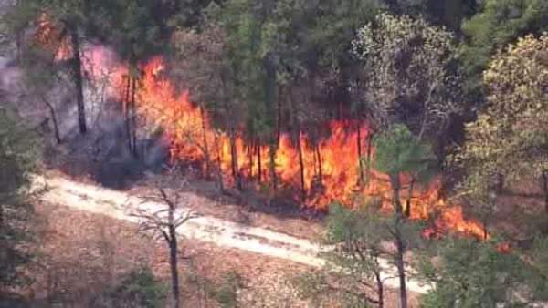 Kebakaran hutan New Jersey menyebar 1 orang tewas