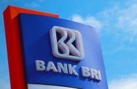 Persyaratan dan Proses Pengajuan Pinjaman Bank BRI untuk Karyawan Swasta
