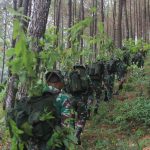 Upaya Besar Reboisasi Gunung Lawu Pasca Kebakaran oleh TNI AD