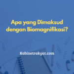 Apa yang Dimaksud dengan Biomagnifikasi?