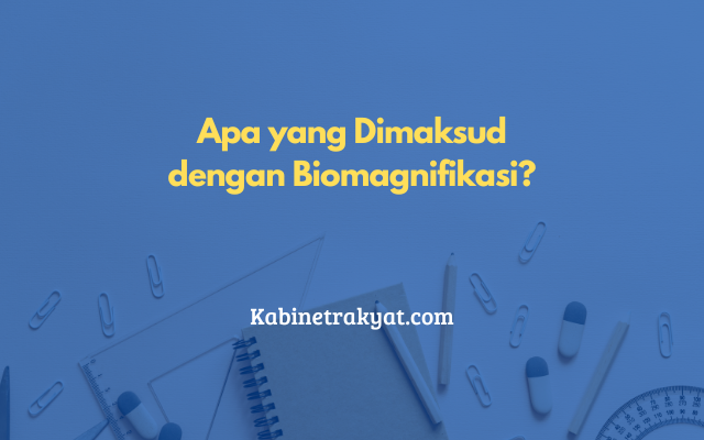 Apa yang Dimaksud dengan Biomagnifikasi?